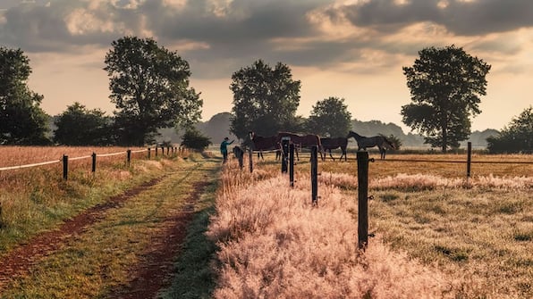 Omgeving - bb de Wilhelminaschool