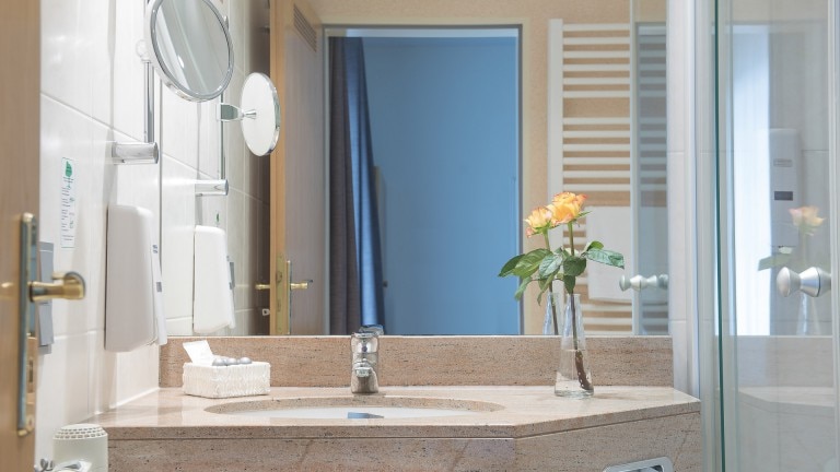 Tweepersoonskamer Business - Hotel Birkenhof