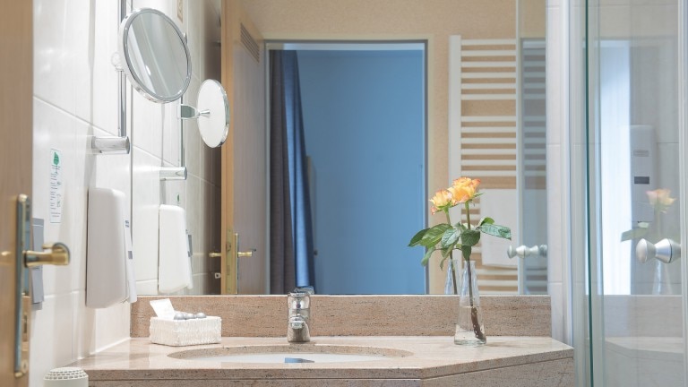 Eenpersoonskamer Business - Hotel Birkenhof