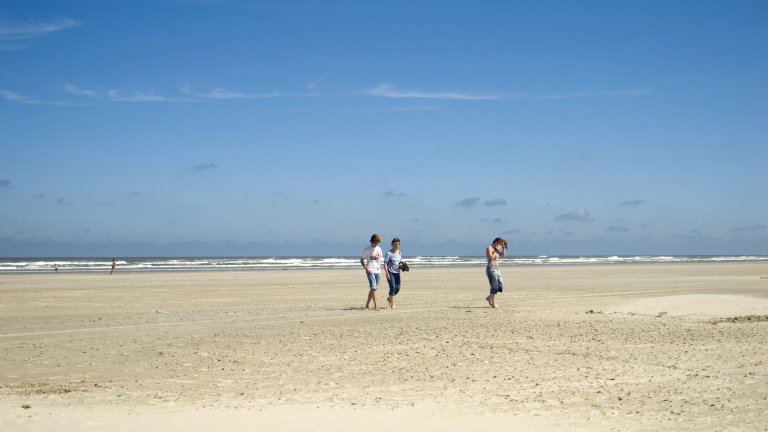 Omgeving - WestCord ApartHotel Boschrijck