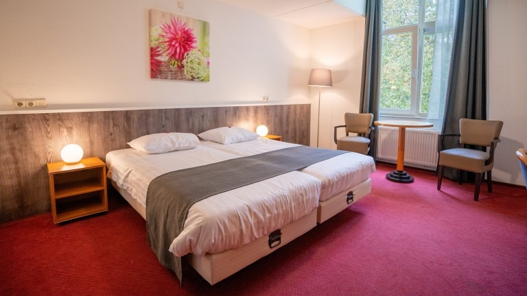 Standaard kamer - Hotel Landgoed Ehzerwold Almen