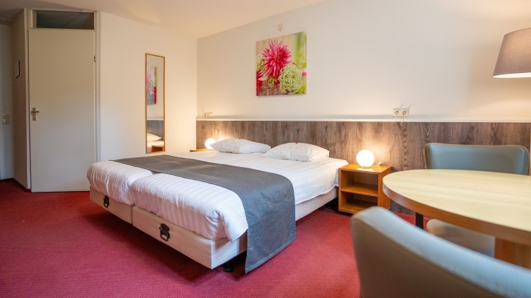 Standaard kamer - Hotel Landgoed Ehzerwold Almen