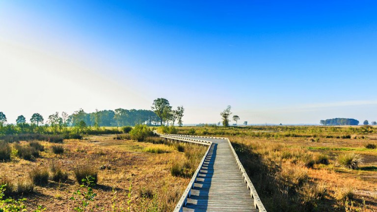 Omgeving - Landal Hunerwold State