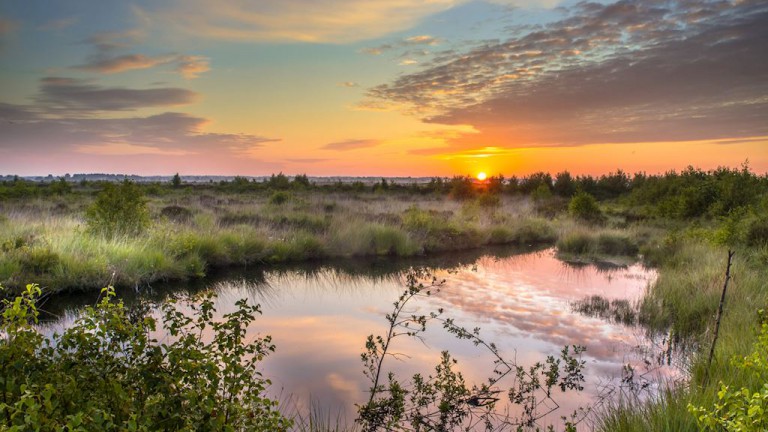 Omgeving - Landal Hunerwold State