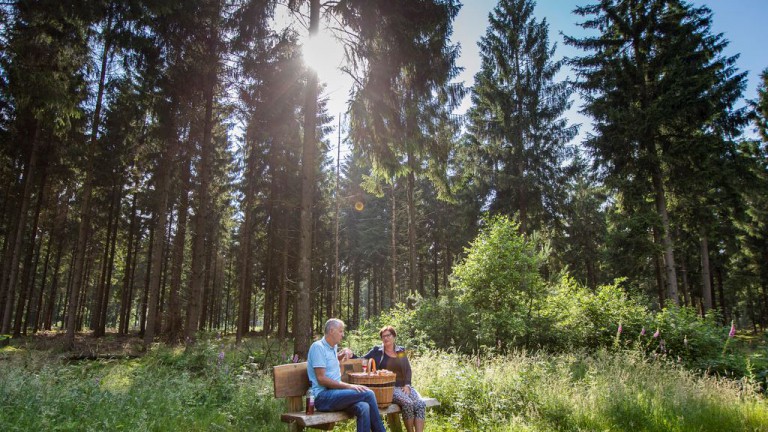 Omgeving - Landal Hunerwold State