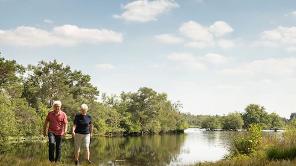 Omgeving - Landal Hunerwold State Omgeving - Landal Hunerwold State