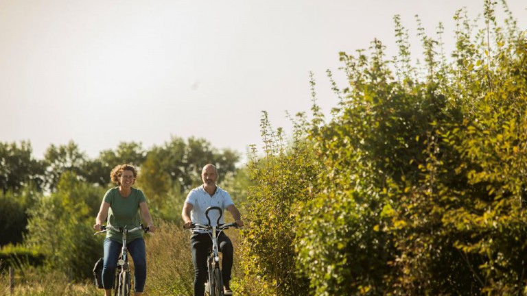 Omgeving - Landal Hunerwold State