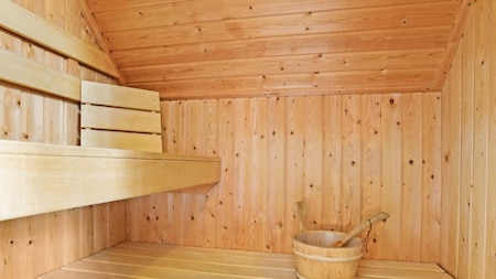 Sauna - Landal Hunerwold State
