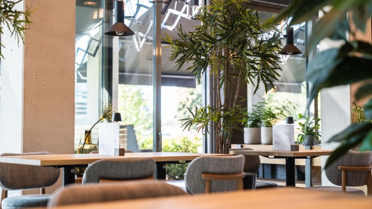 Restaurant - Hotel Rosveld