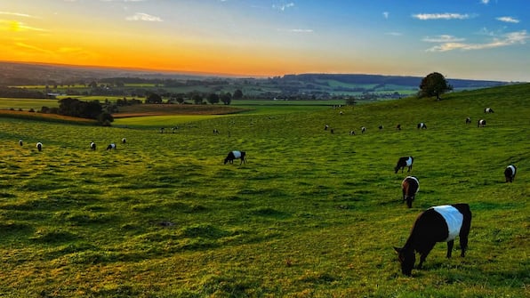 Umwelt - Appartementen De Zegelskoël