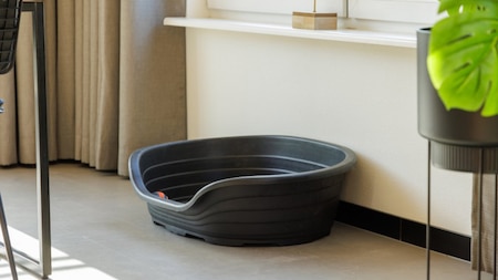 Hondenmand - Roompot Ferienresort Bad Bentheim Hondenmand - Roompot Ferienresort Bad Bentheim