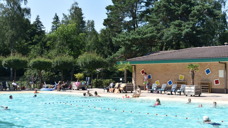 Pool - Recreatiepark de Paalberg