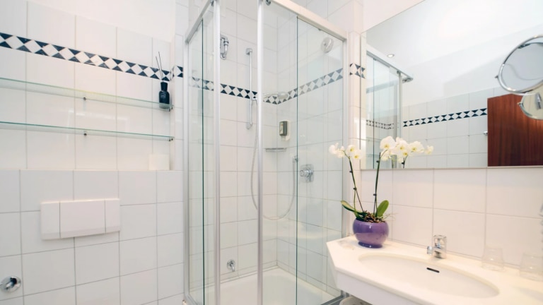 Standaard kamer - Ringhotel Birke