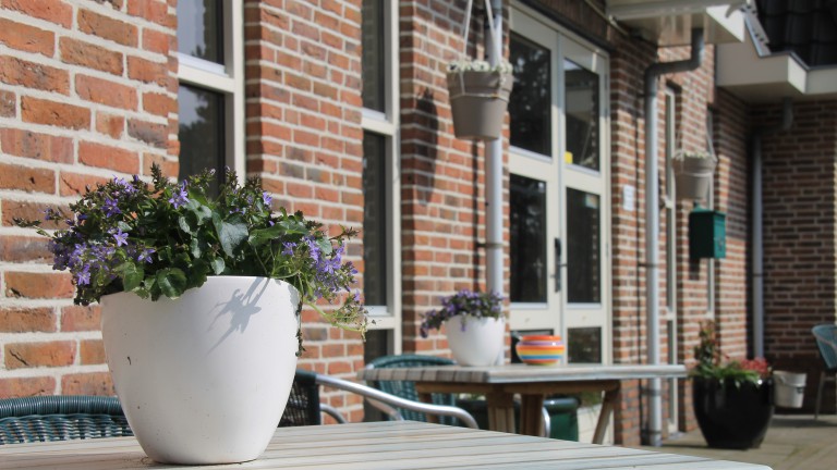 Hotel Bosch Duin Strand - Hotel Bosch Duin Strand