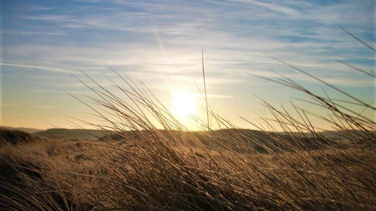 Omgeving - Hotel Bosch Duin Strand