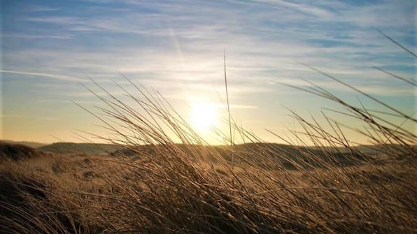 Umwelt - Hotel Bosch Duin Strand Umwelt - Hotel Bosch Duin Strand