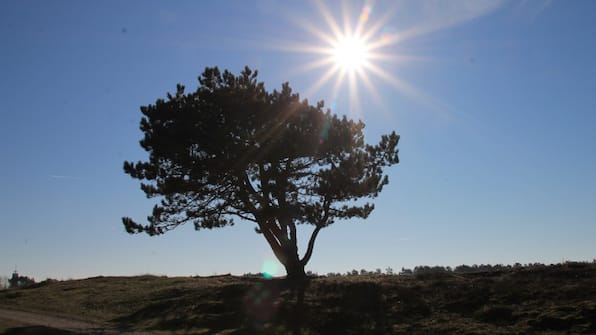 Omgeving - Hotel Bosch Duin Strand