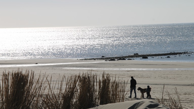 Omgeving - Hotel Bosch Duin Strand