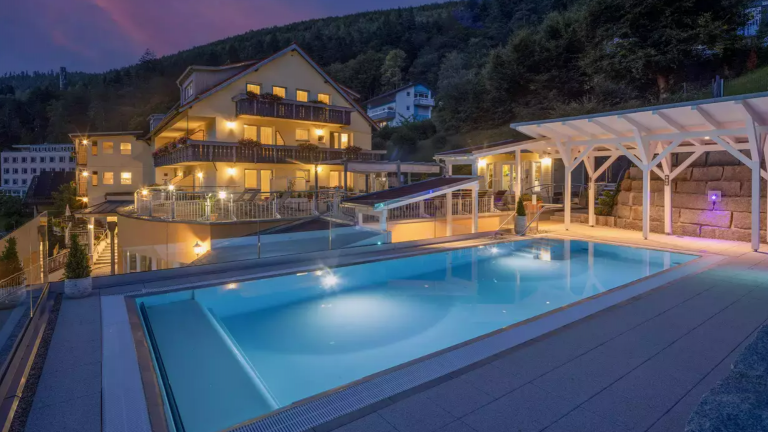 Infinity pool - Hotel Rothfuss