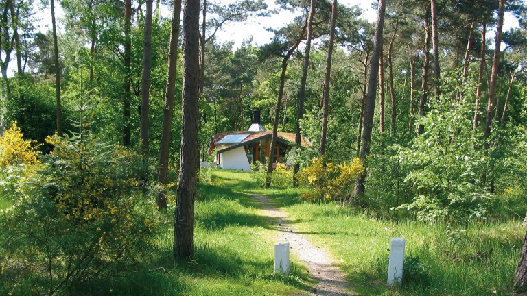 Het park - Summio Bungalowpark Herperduin