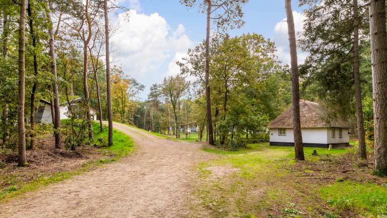 Het park - Summio Bungalowpark Herperduin