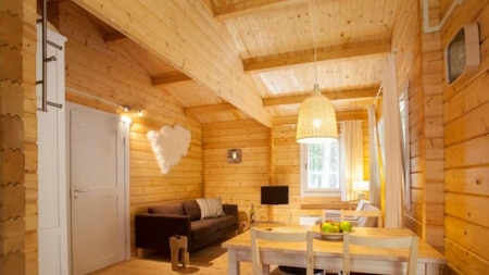 Wohnzimmer - RCN Vakantiepark de Flaasbloem