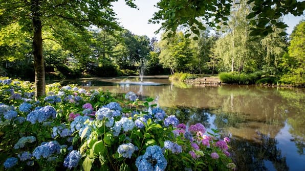 Teich - Landgoed de Rosep