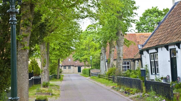 Umgebung Ameland - Logement Overzee Umgebung Ameland - Logement Overzee
