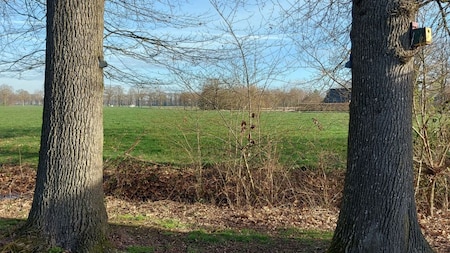 Aussicht - Außen in Den Olden Bongerd