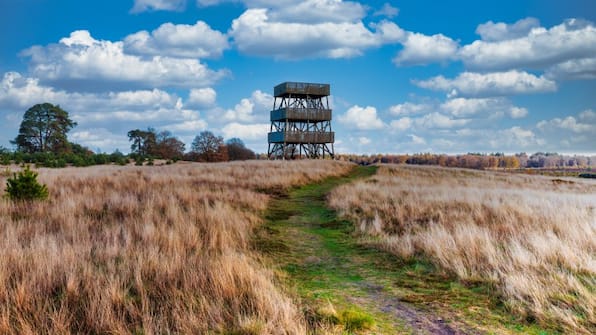 Umwelt - Summio Bungalowpark Het Drentse Wold