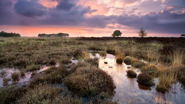 Omgeving - Summio Bungalowpark Het Drentse Wold