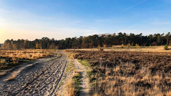 Omgeving - Safari Hotel Beekse Bergen