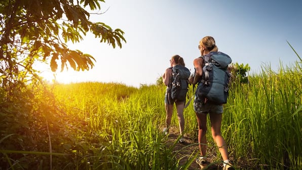 Wandelen - Camping Batenstein