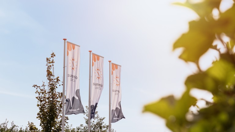 Fahnen - Summio Ferienpark Zeedij