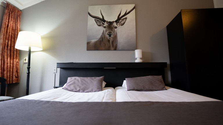 Standaard kamer - Veluwe Hotel Stakenberg