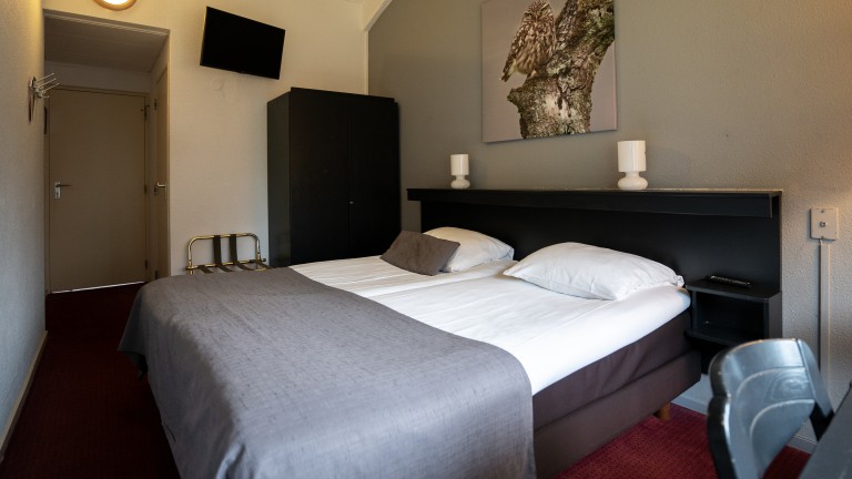 Standaard kamer - Veluwe Hotel Stakenberg