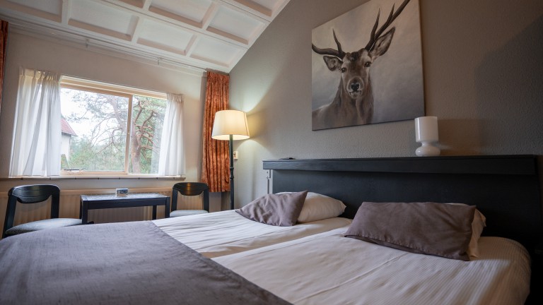 Standaard kamer - Veluwe Hotel Stakenberg