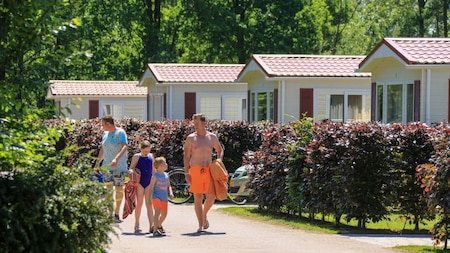 Es park - Camping Wedderbergen
