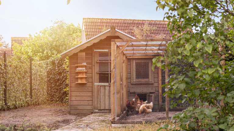 Kippen - Summio Bungalowpark De Riethorst