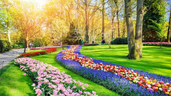 Keukenhof - Hotel de Duif Keukenhof - Hotel de Duif