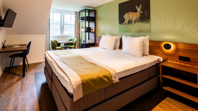 Economy kamer - Landhuishotel en Bistro Herikerberg