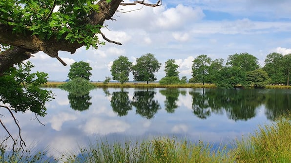 Umwelt - Hotel Martensplek Umwelt - Hotel Martensplek