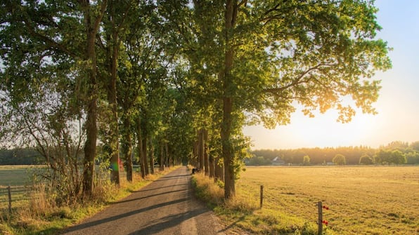 Omgeving - RCN Vakantiepark de Roggeberg