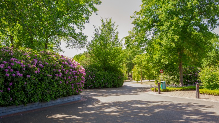 Vakantiepark Latour