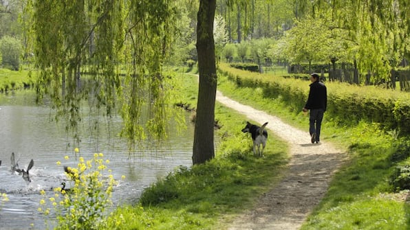 Umwelt - DoubleTree by Hilton Sittard Umgebung - DoubleTree by HIlton Sittard