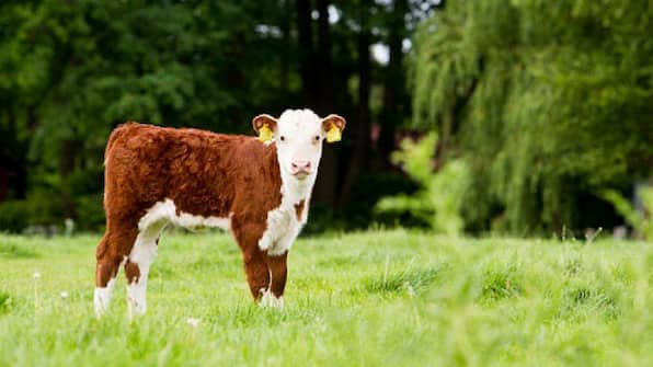 Umgebung - Erve Bruggert Umgebung - Erve Bruggert