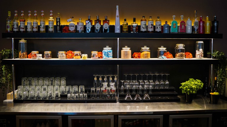 Bar - Hotel de Flandre