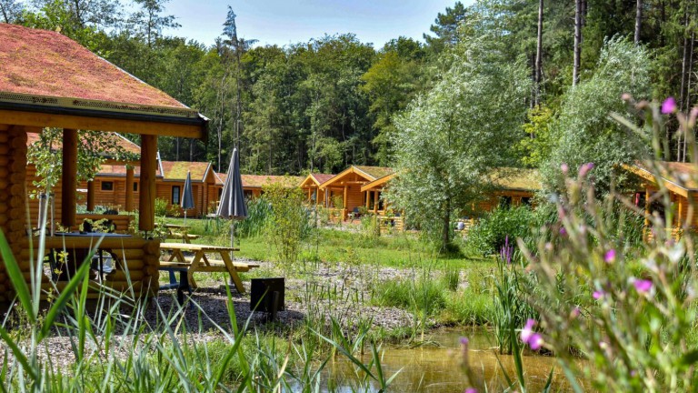 Unterkunft - Recreatiepark de Voorst