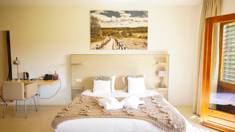 Suite - Boshotel Overberg