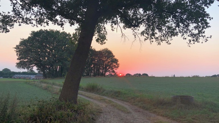 Umwelt - Onthaasten in de Achterhoek